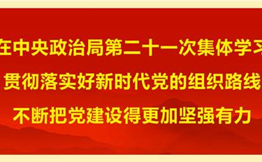 习近平：贯彻落实好新时代党的组织路线 不断把党建设得更加坚强有力