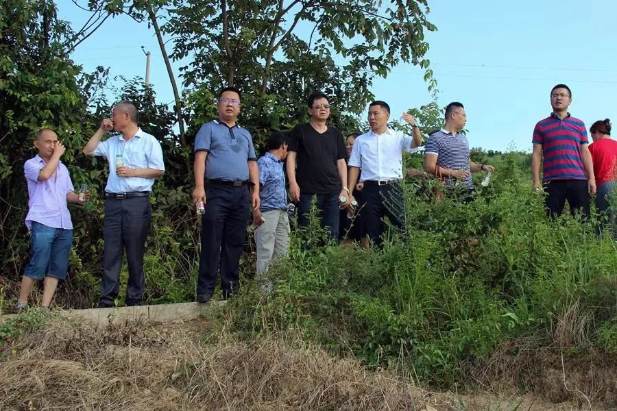 106队领导班子在大梁子村指导产业发展