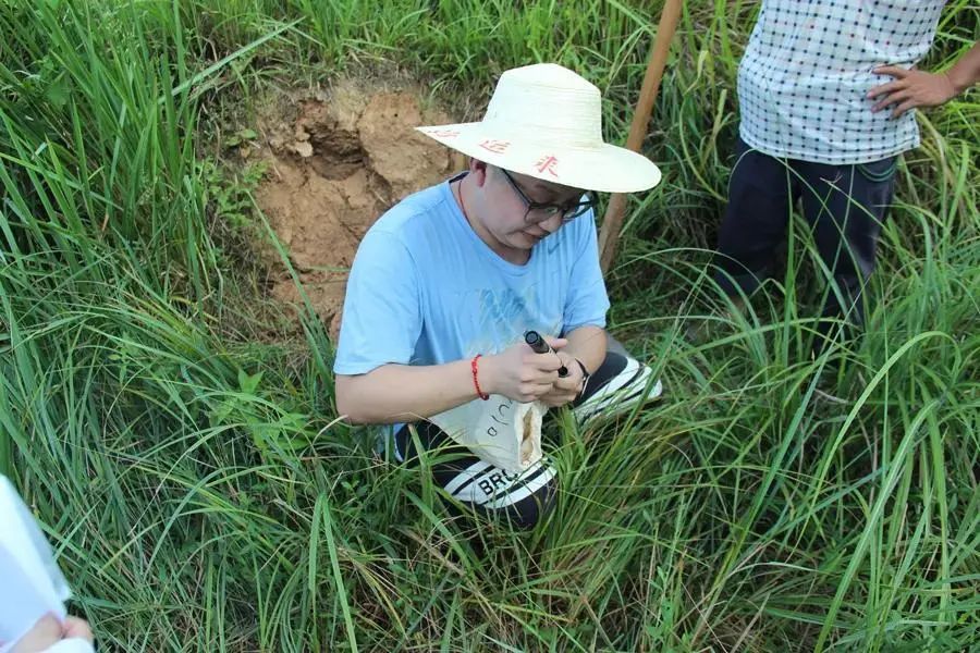 技术员采集土壤样品