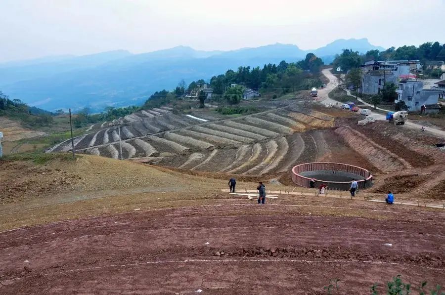 大梁子村土地整理现场