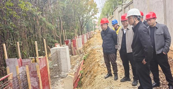 绷紧安全弦 筑牢质量关| 许家斌带队检查绵阳滑坡地质灾害应急抢险项目安...